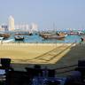 2024 Katara Show - Day 1