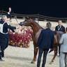 2024 Katara Show - Day 1