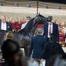 2024 Katara Show - Day 1