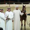 2024 Katara Show - Day 1