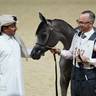 2024 Katara Show - Day 1
