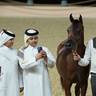2024 Katara Show - Day 1