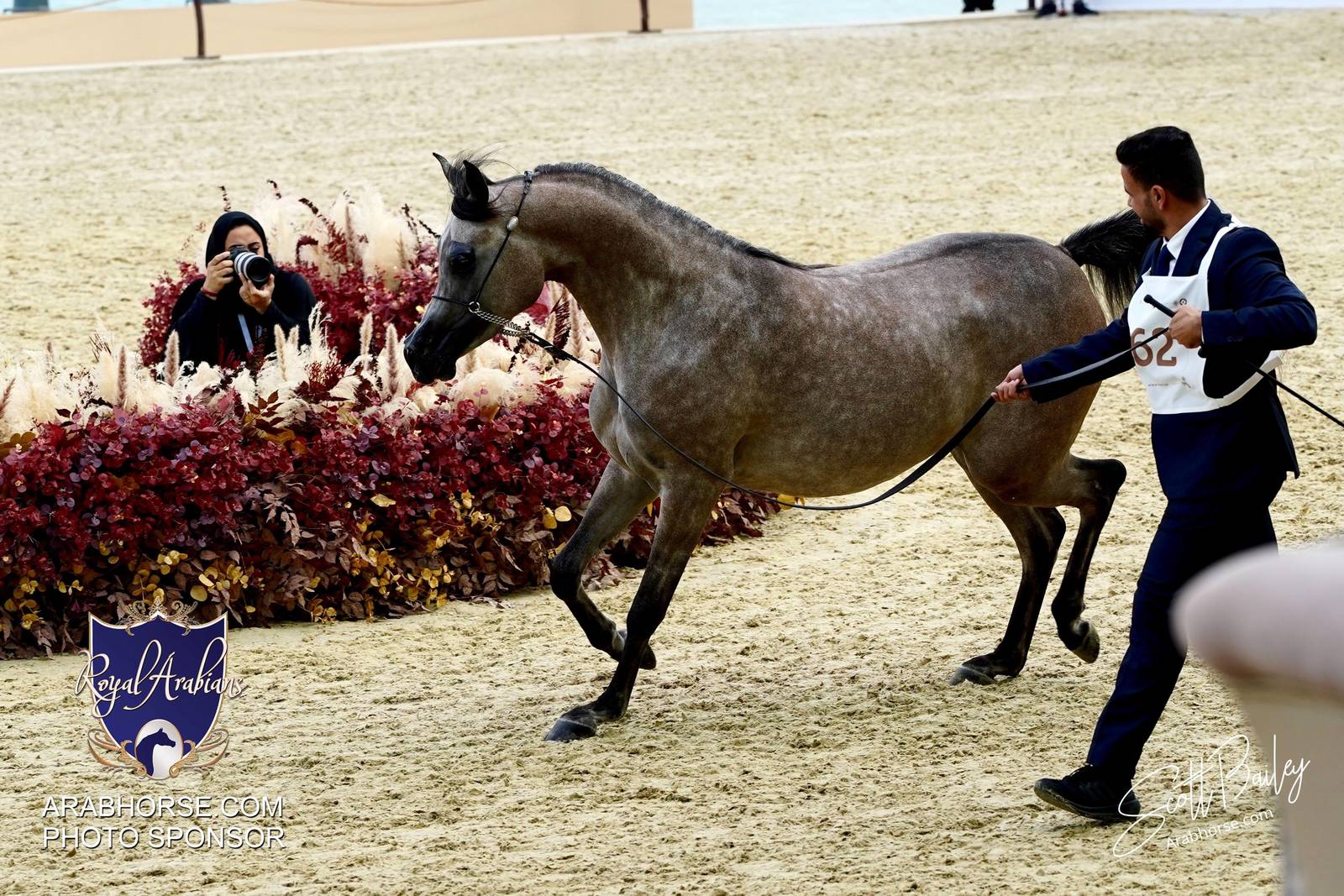 2024 KATARA SHOW - DAY 2