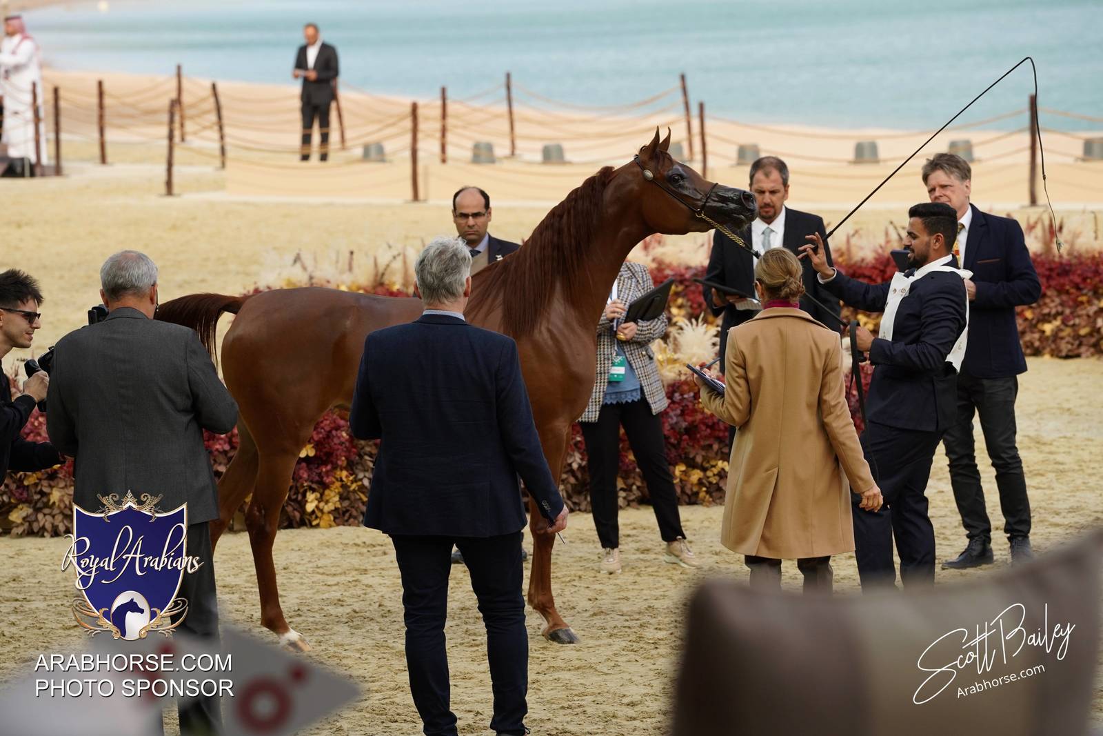 2024 KATARA SHOW - DAY 2