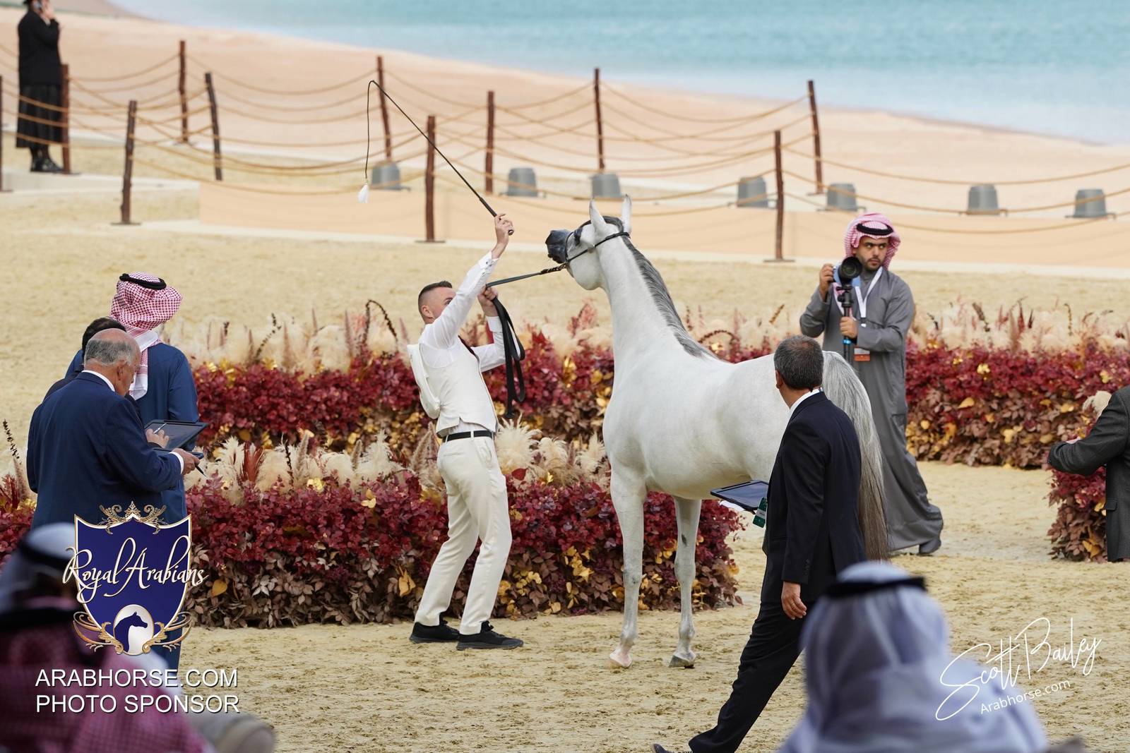 2024 KATARA SHOW - DAY 2