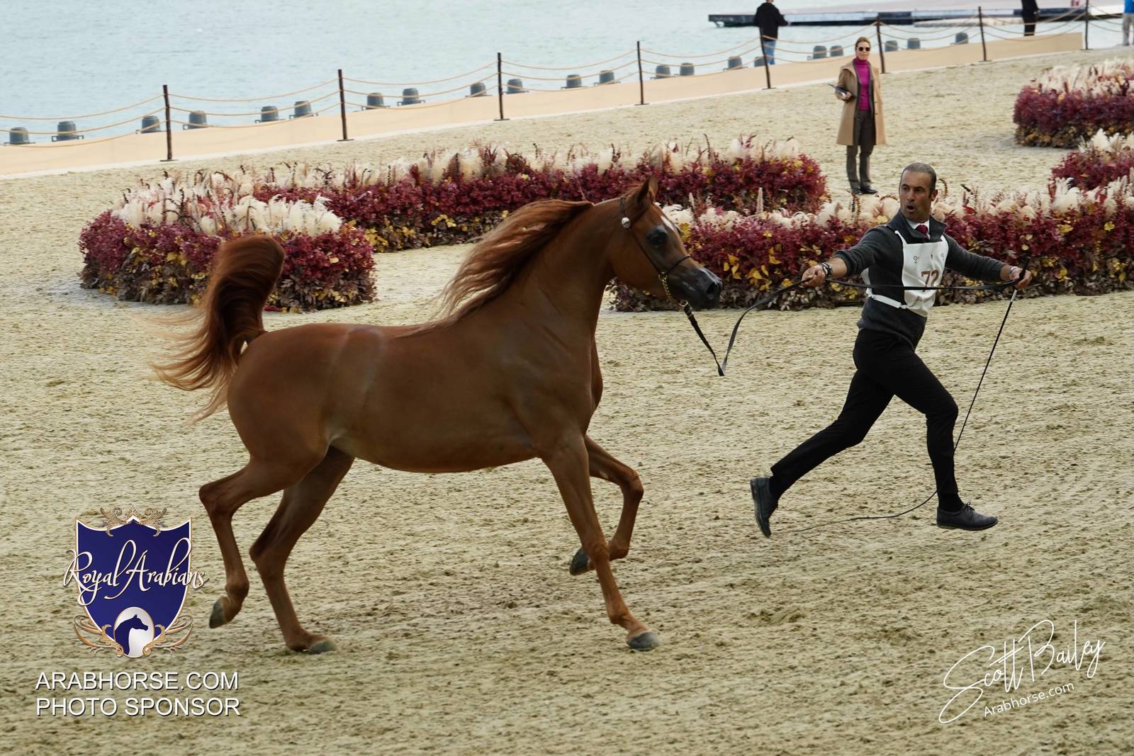 2024 KATARA SHOW - DAY 2