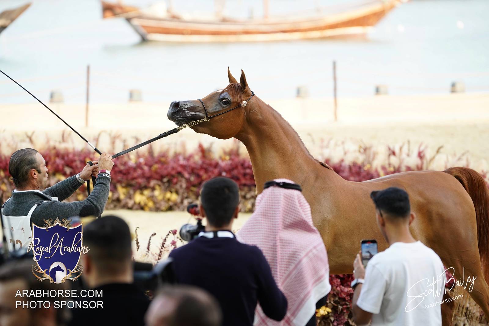 2024 KATARA SHOW - DAY 2