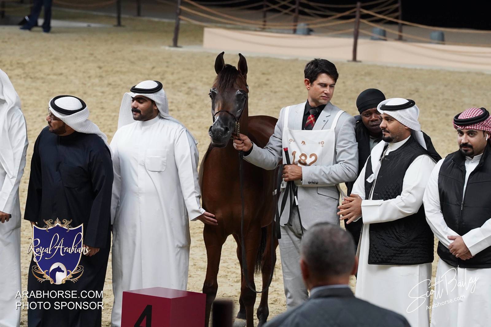 2024 KATARA SHOW - DAY 2