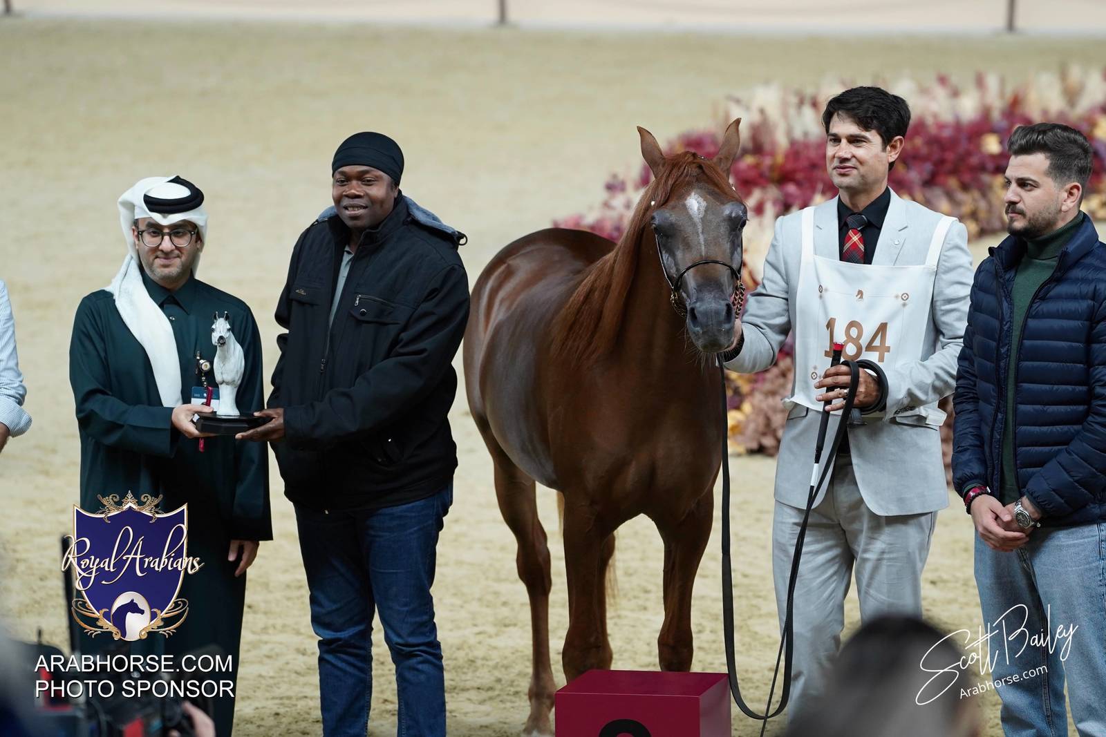 2024 KATARA SHOW - DAY 2