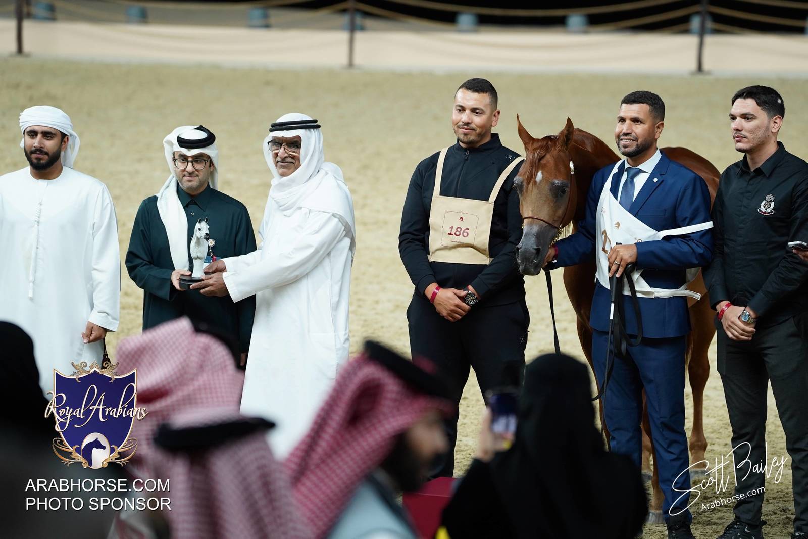 2024 KATARA SHOW - DAY 2