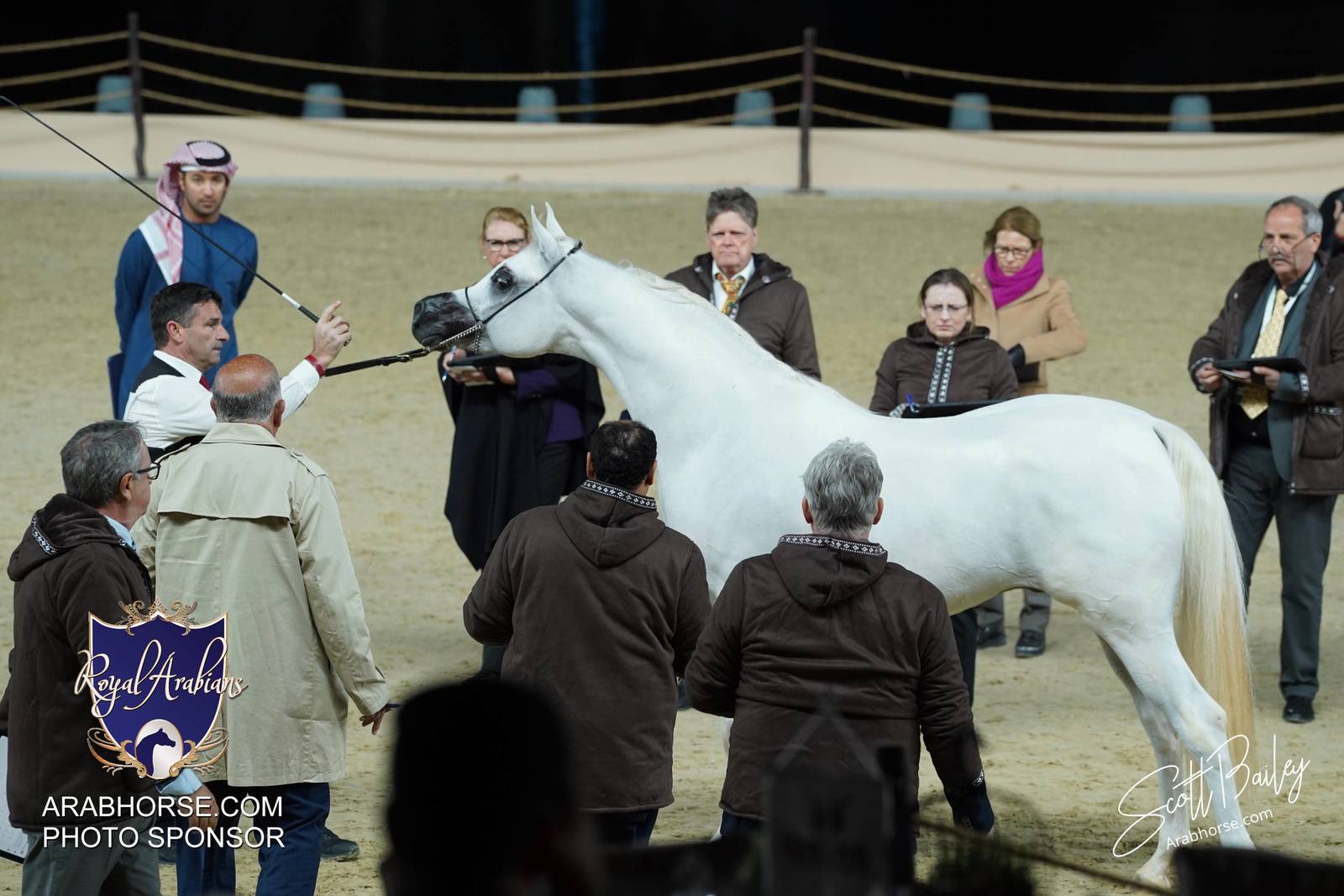 2024 KATARA SHOW - DAY 2