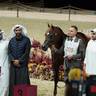 2024 KATARA SHOW - DAY 2