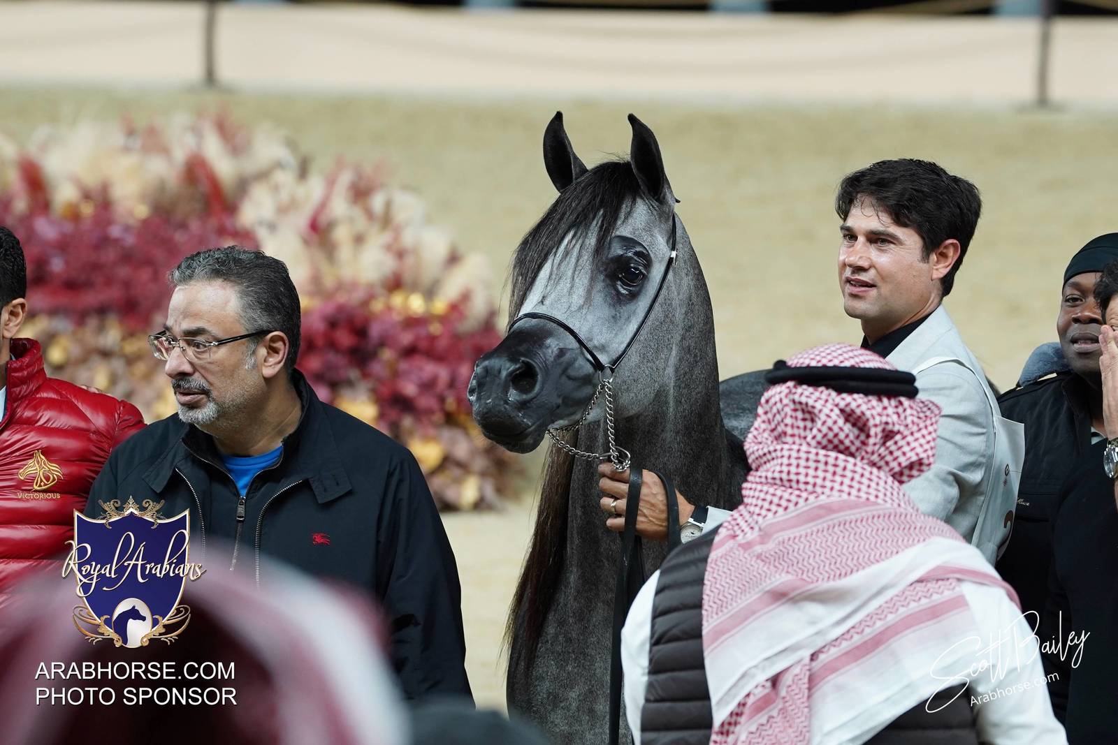 2024 KATARA SHOW - DAY 2