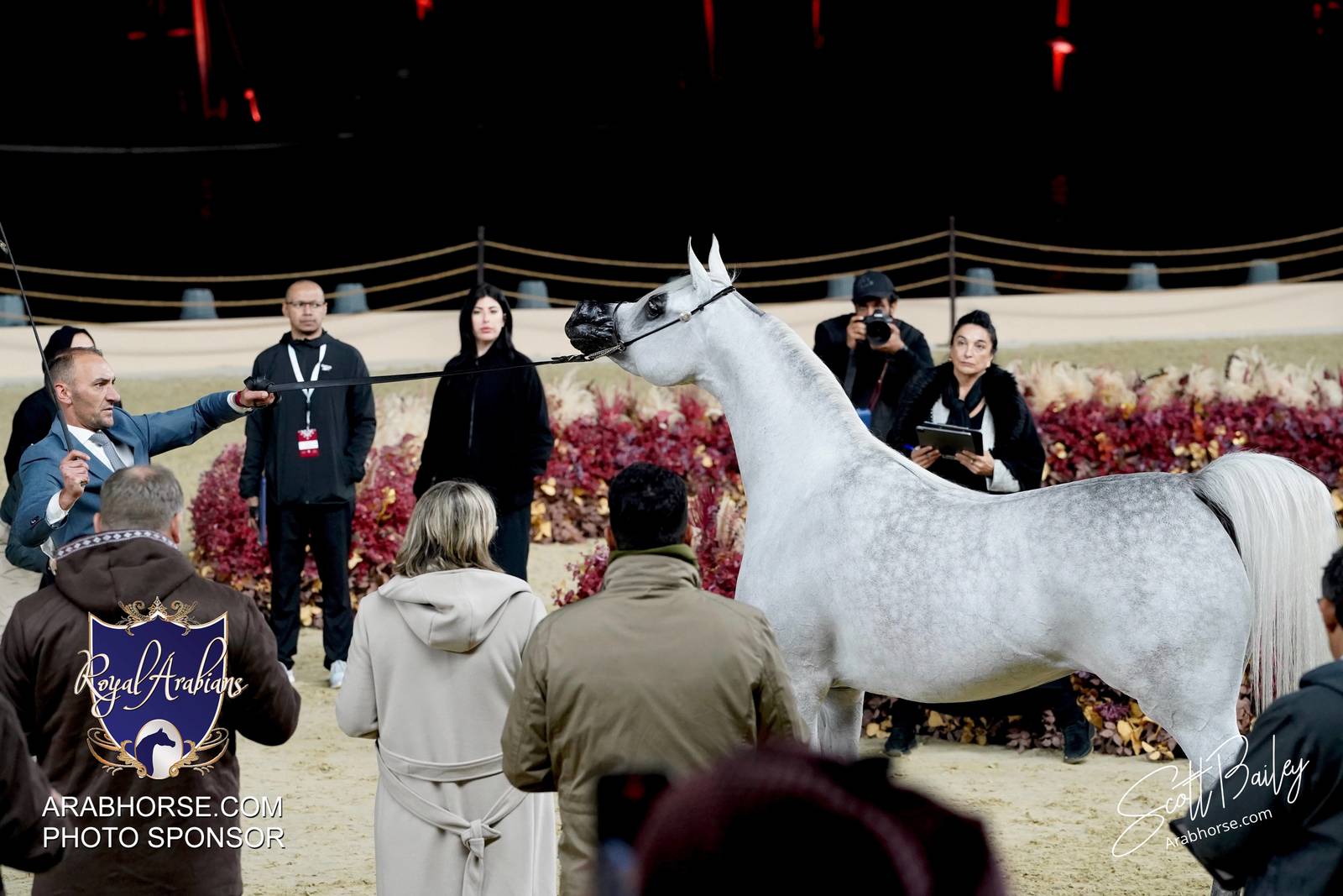 2024 KATARA SHOW - DAY 2