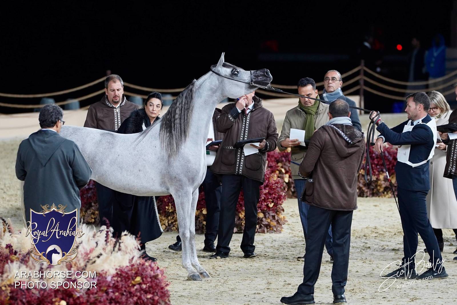 2024 KATARA SHOW - DAY 2