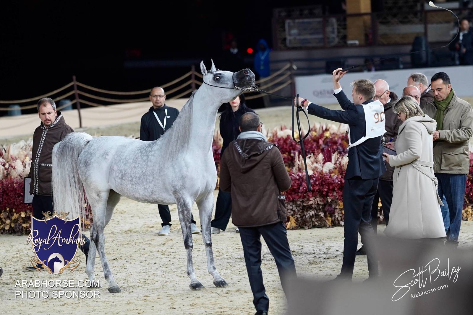 2024 KATARA SHOW - DAY 2