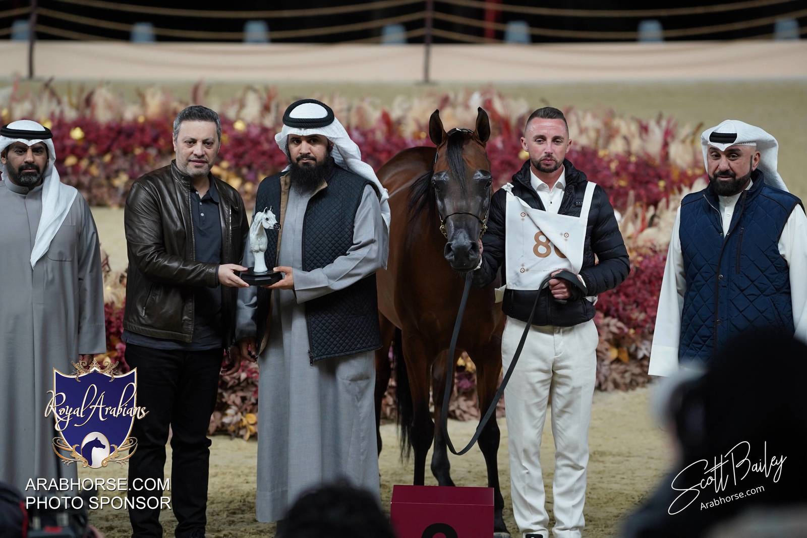 2024 KATARA SHOW - DAY 2