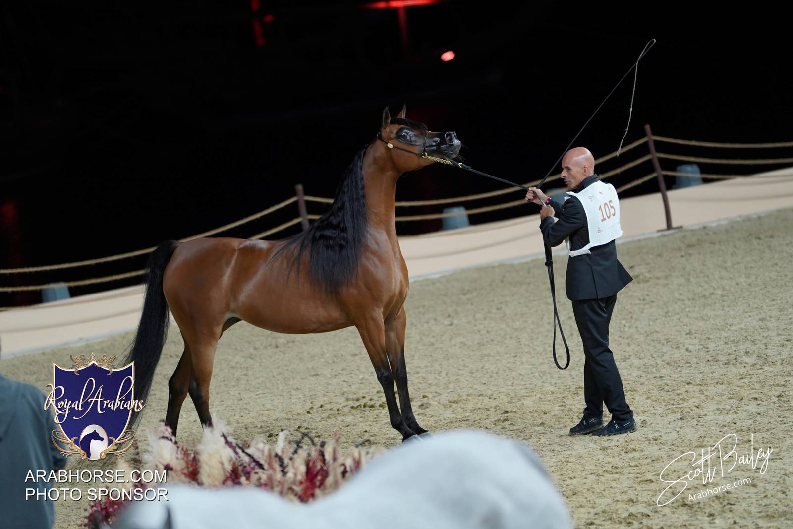 2024 KATARA SHOW - DAY 2