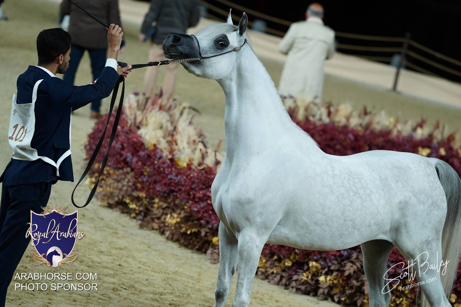 2024 KATARA SHOW - DAY 2