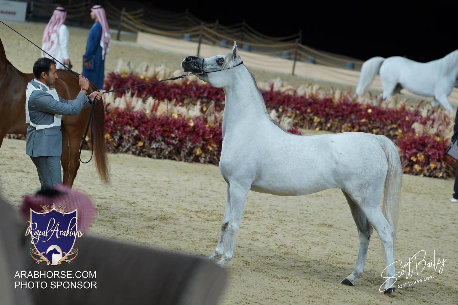 2024 KATARA SHOW - DAY 2