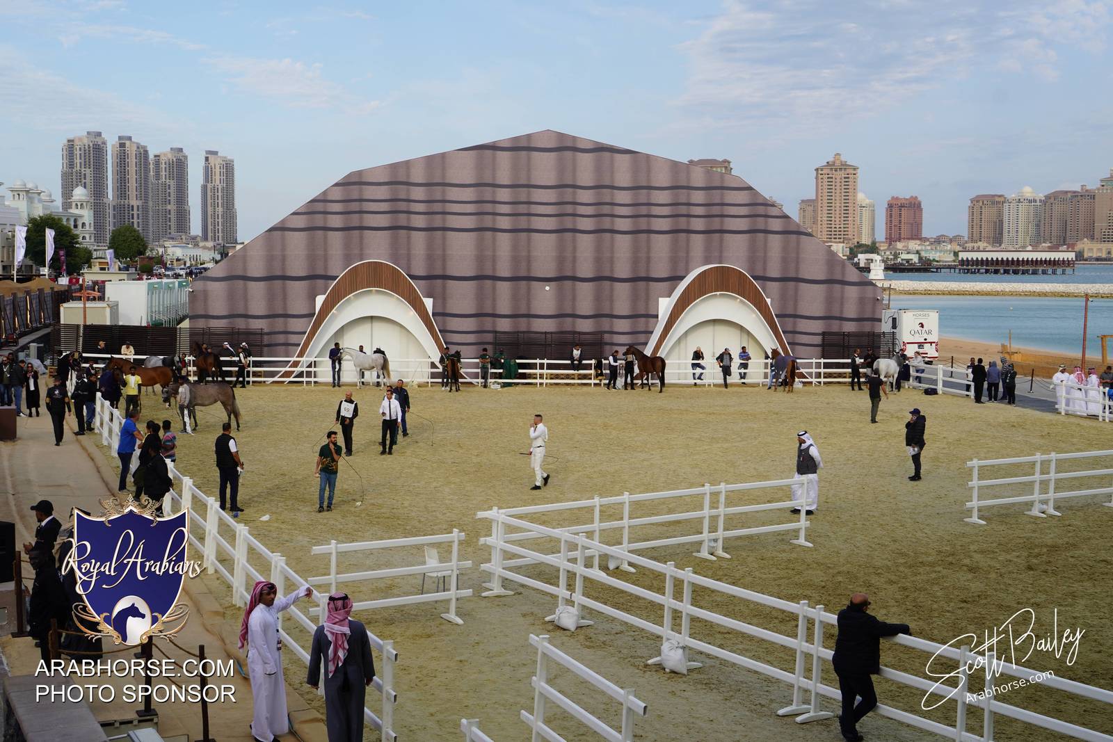 2024 KATARA SHOW - DAY 2