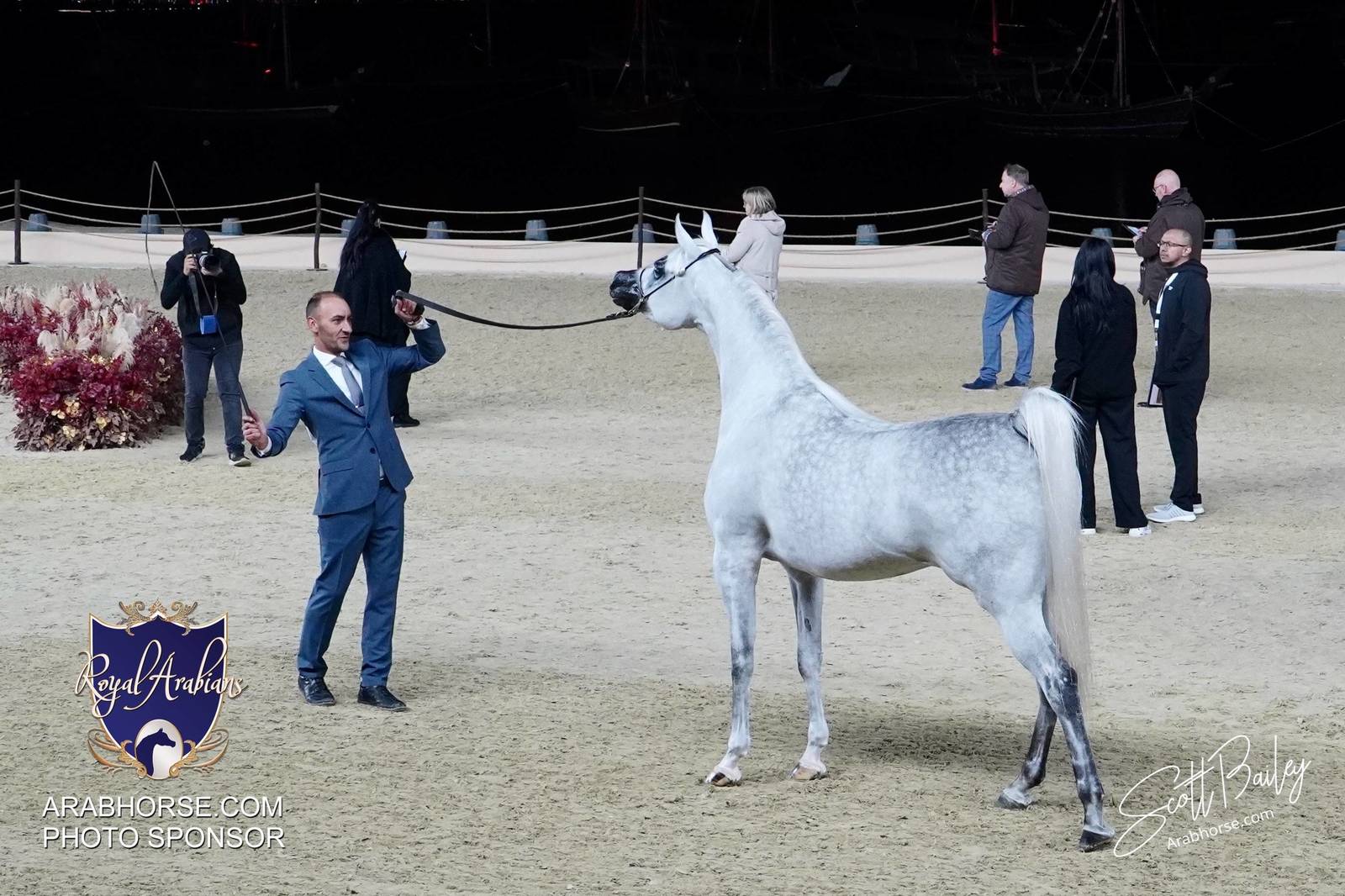 2024 KATARA SHOW - DAY 2