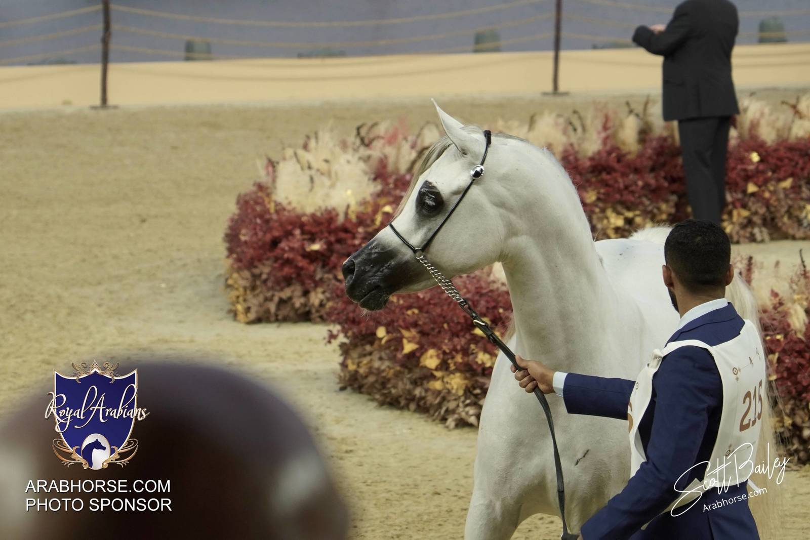 2024 KATARA SHOW - DAY 3