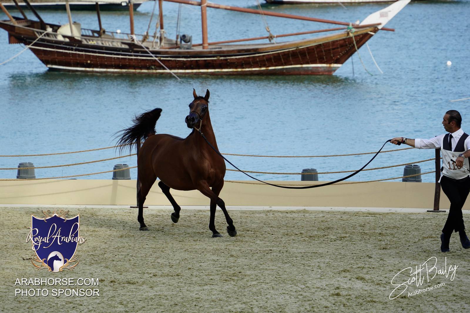 2024 KATARA SHOW - DAY 3