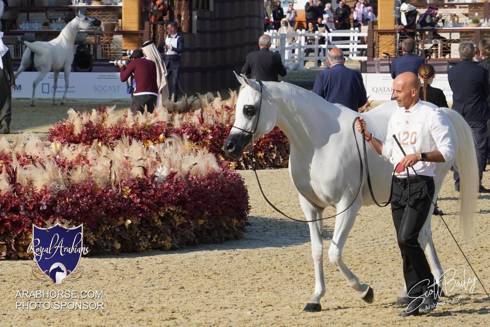 2024 KATARA SHOW - DAY 3