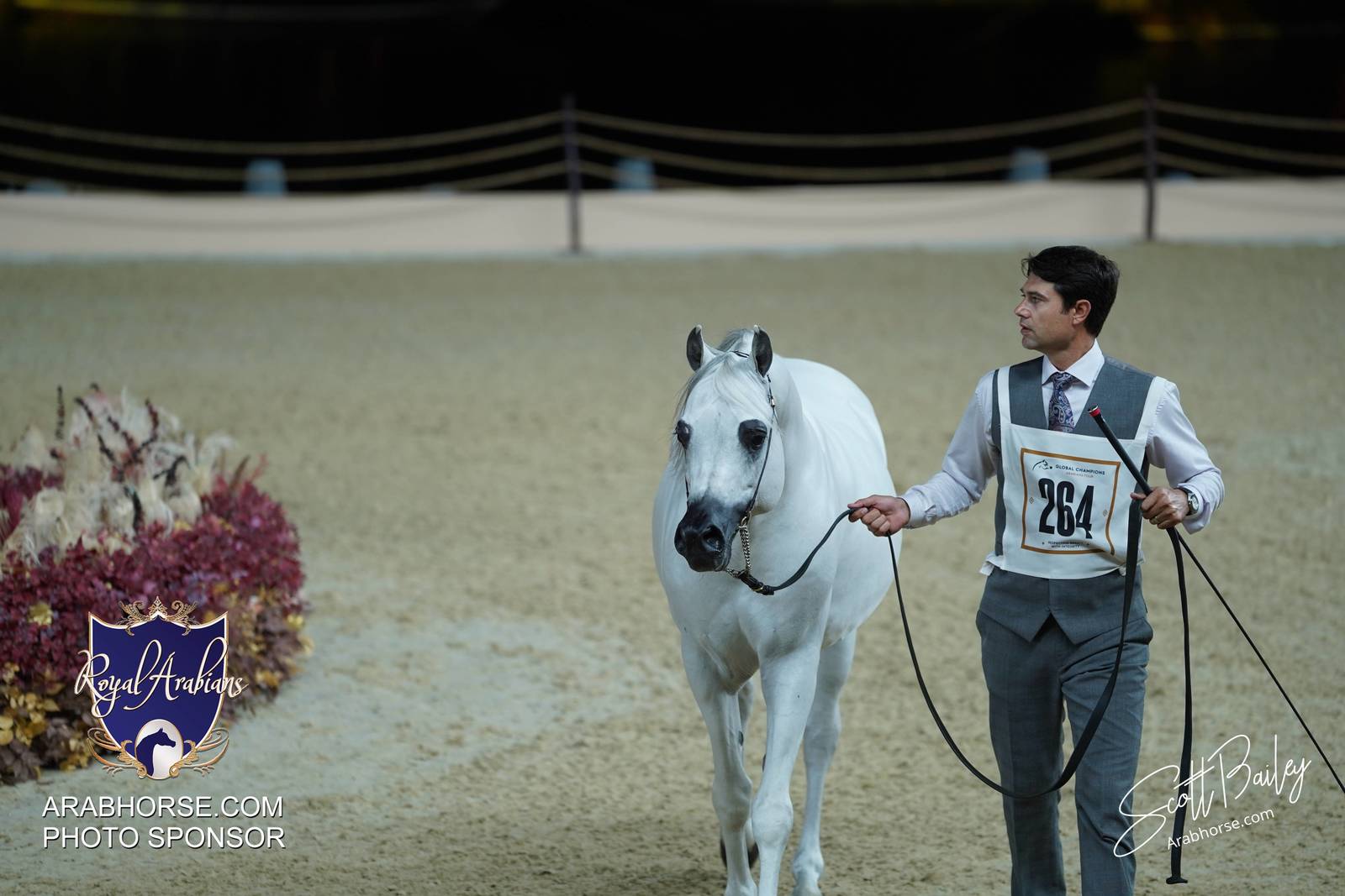 2024 KATARA SHOW - DAY 3