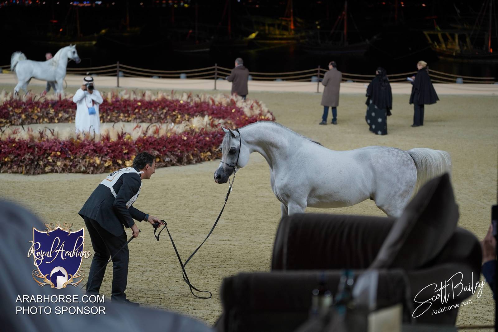 2024 KATARA SHOW - DAY 3