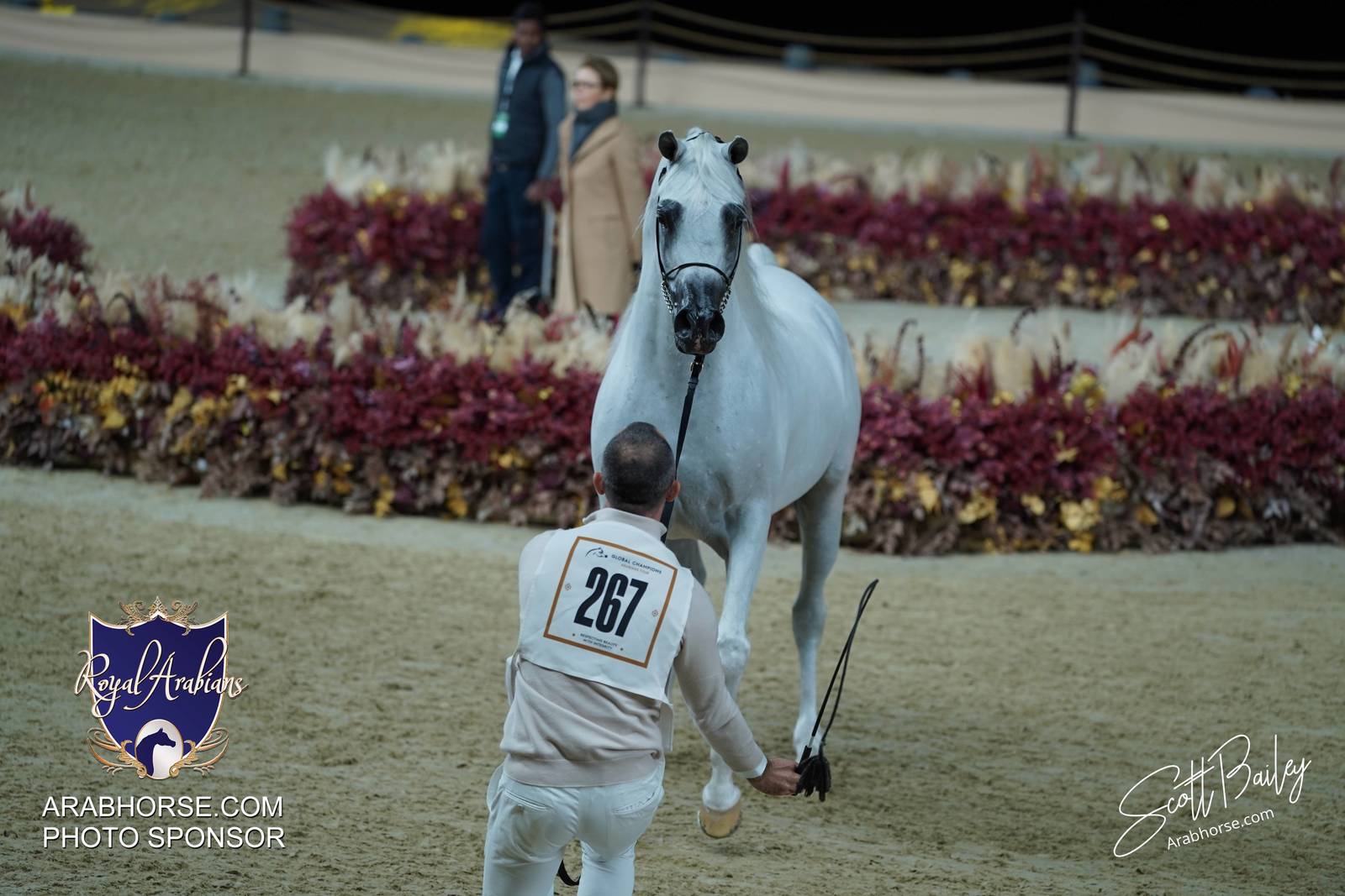 2024 KATARA SHOW - DAY 3