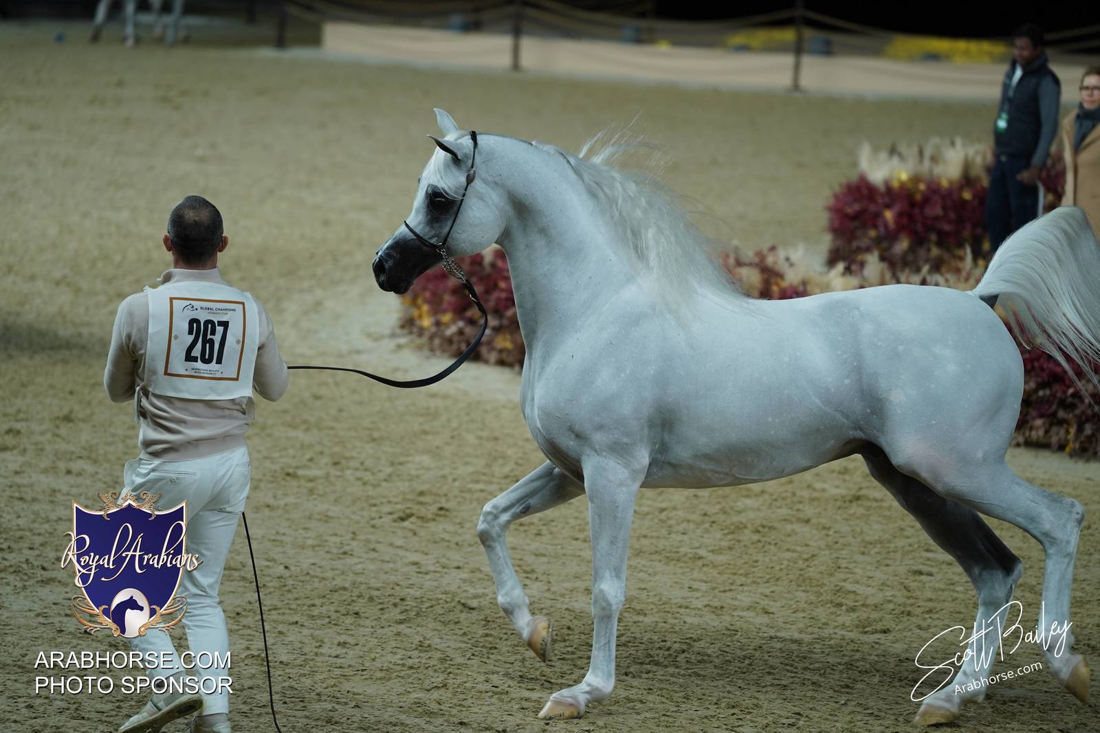 2024 KATARA SHOW - DAY 3