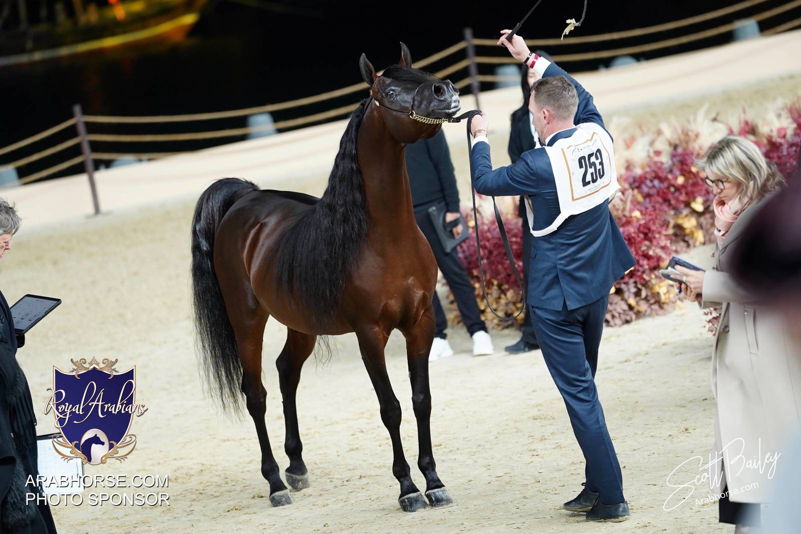 2024 KATARA SHOW - DAY 3