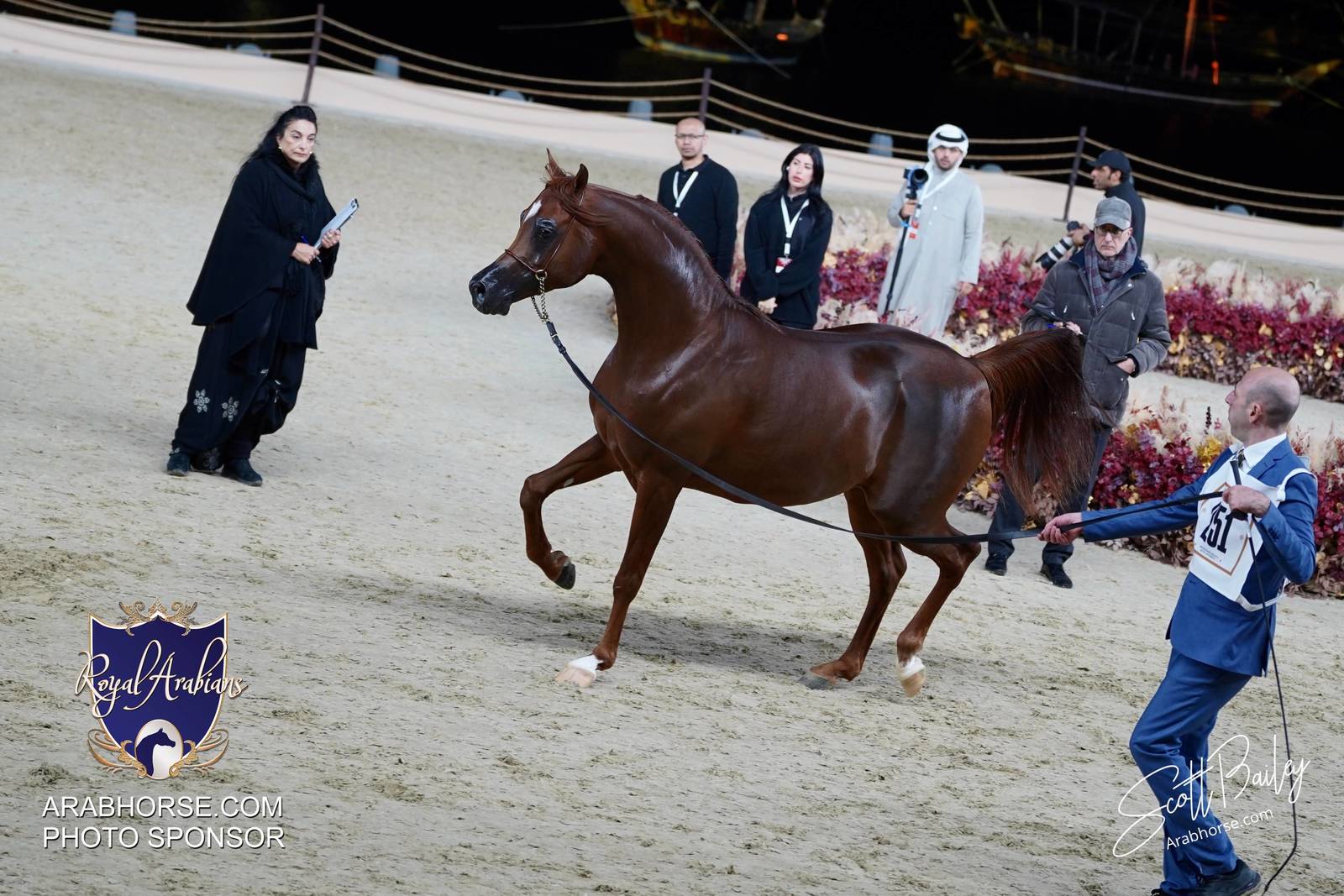 2024 KATARA SHOW - DAY 3