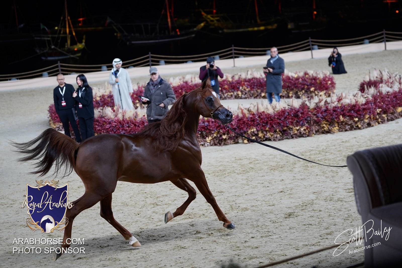 2024 KATARA SHOW - DAY 3