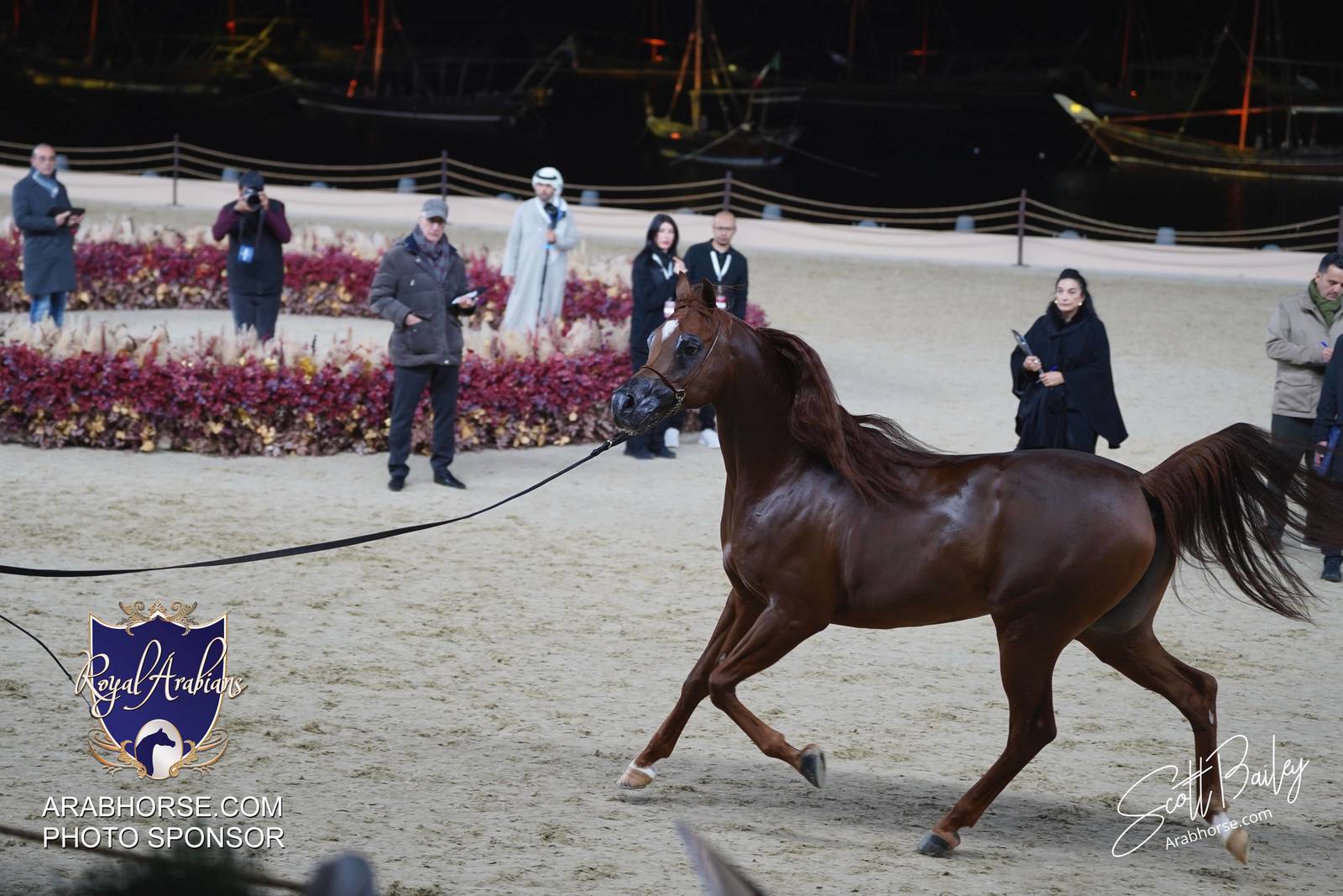 2024 KATARA SHOW - DAY 3