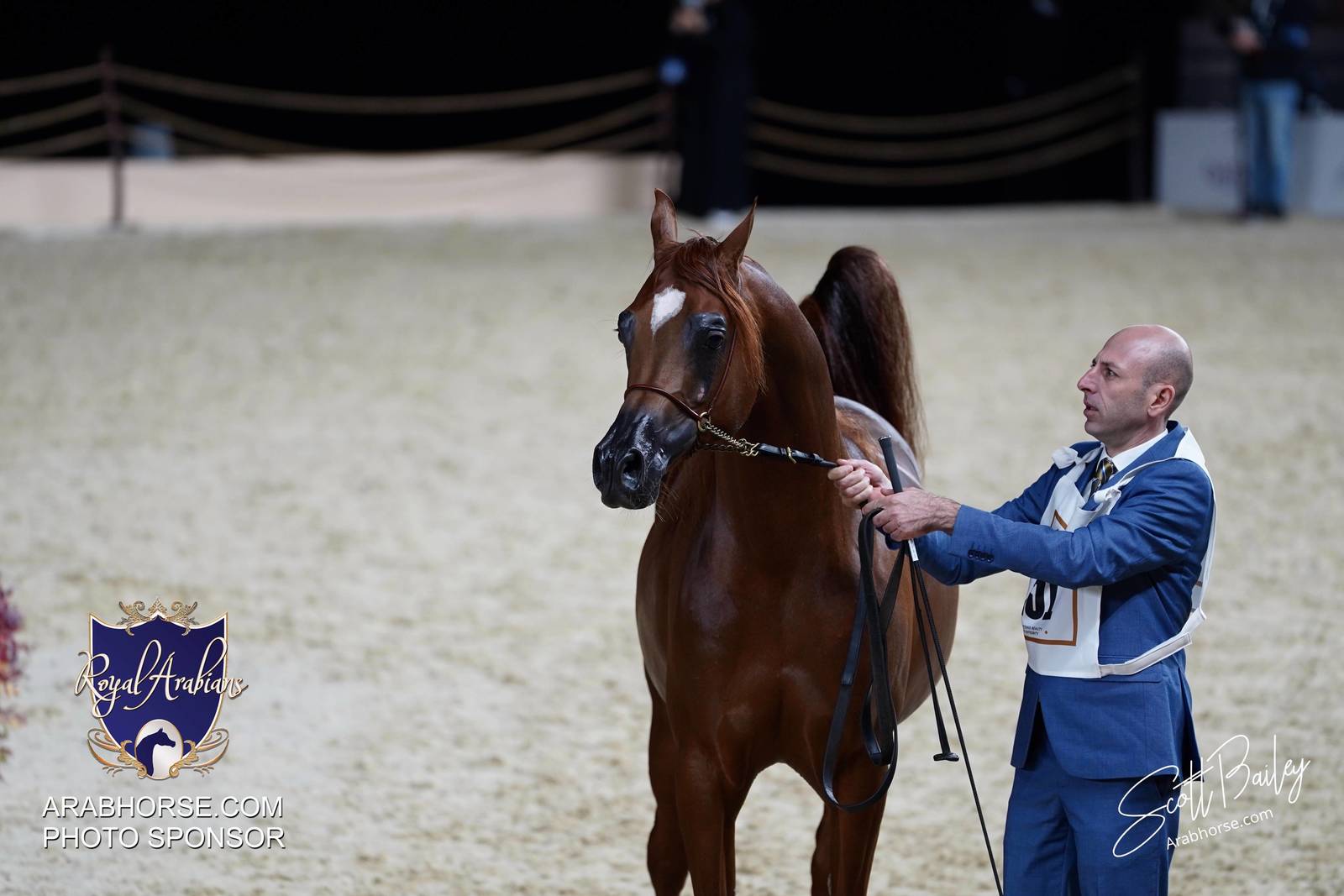 2024 KATARA SHOW - DAY 3