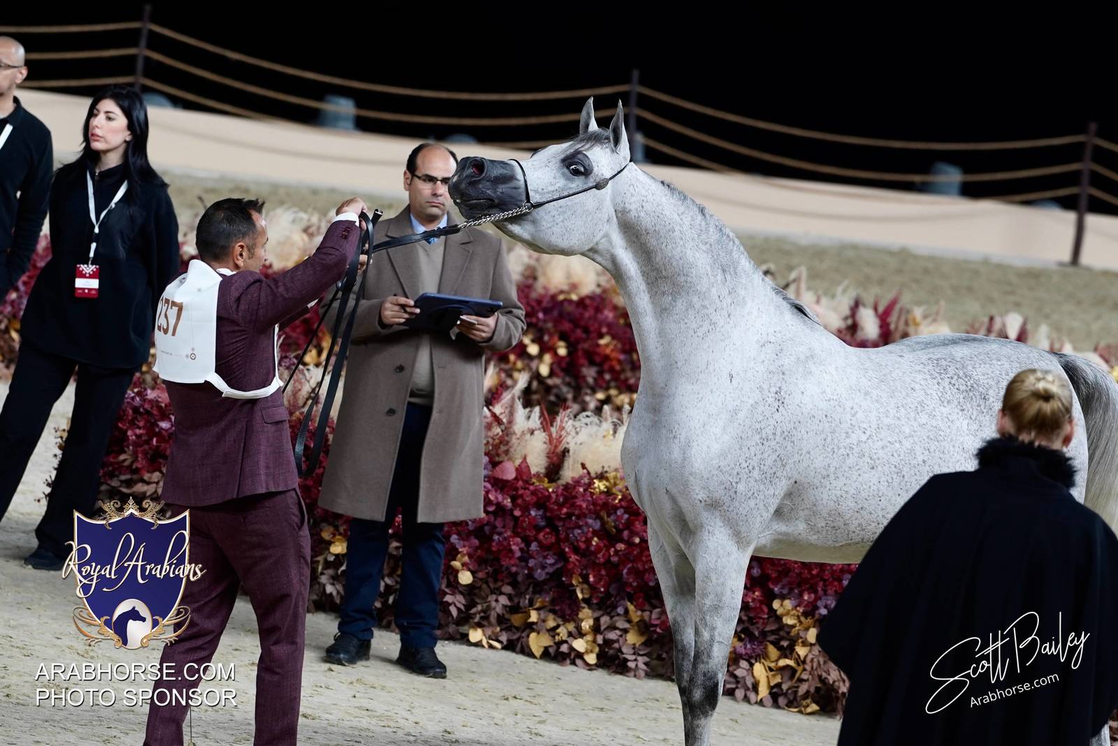 2024 KATARA SHOW - DAY 3