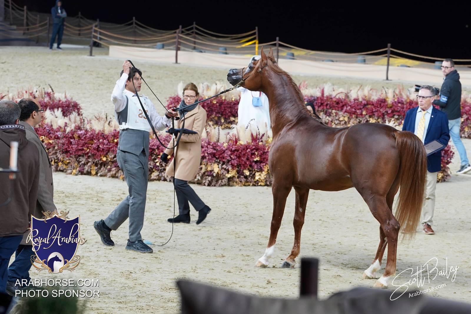 2024 KATARA SHOW - DAY 3