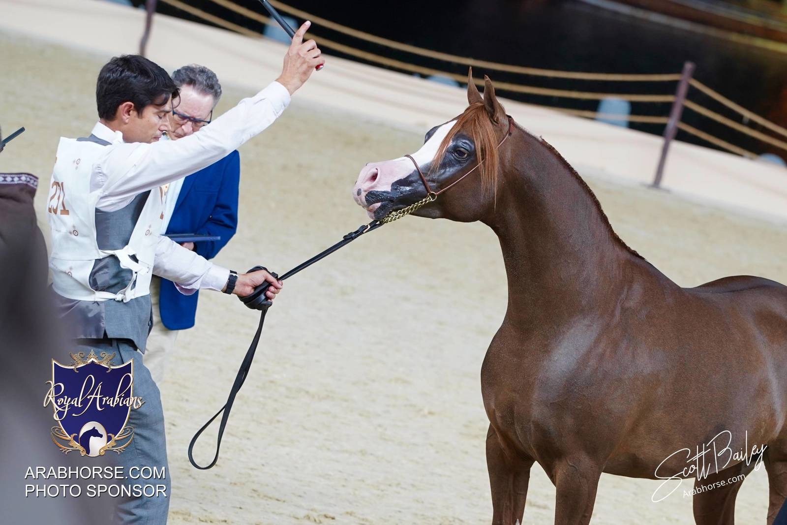 2024 KATARA SHOW - DAY 3