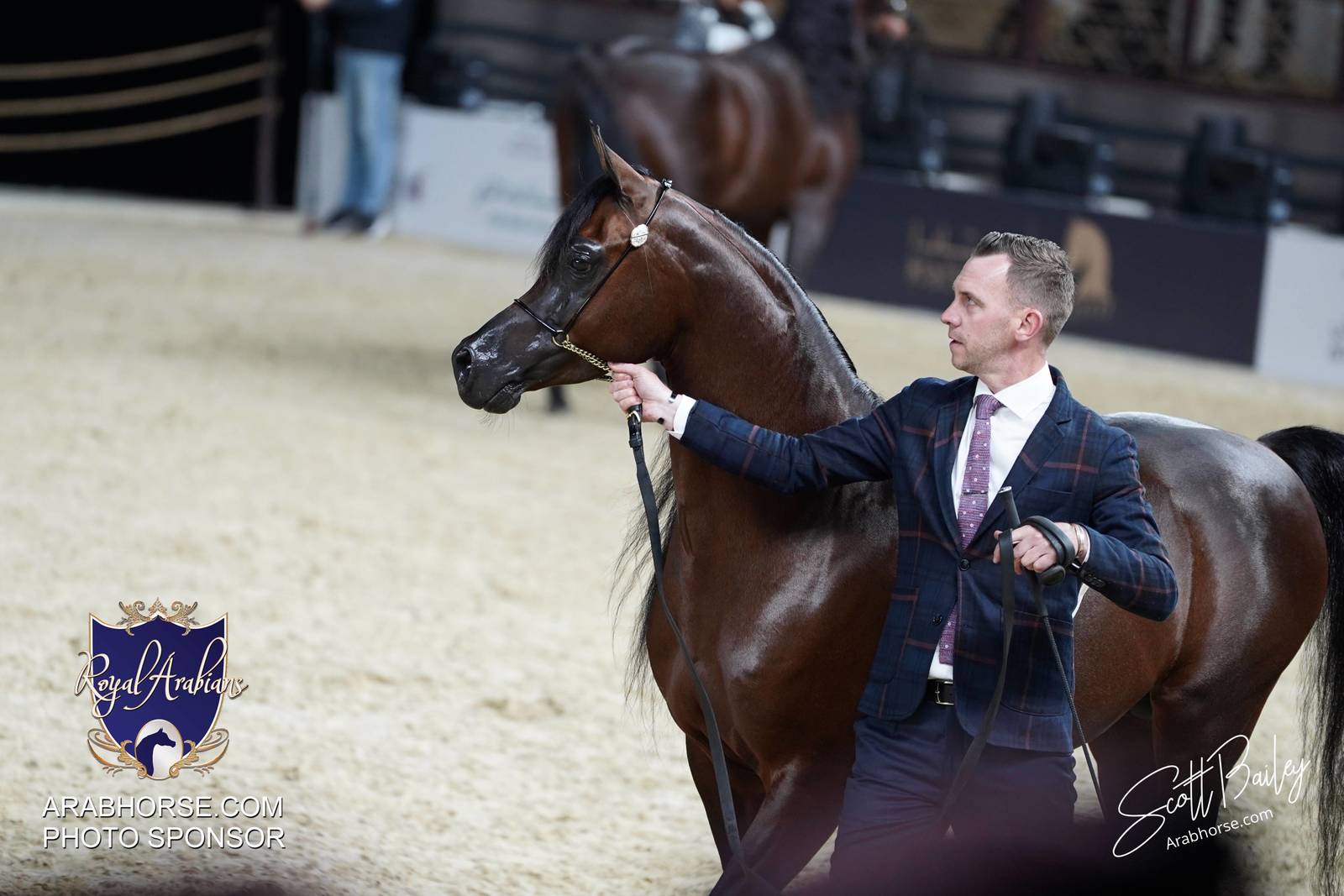 2024 KATARA SHOW - DAY 3