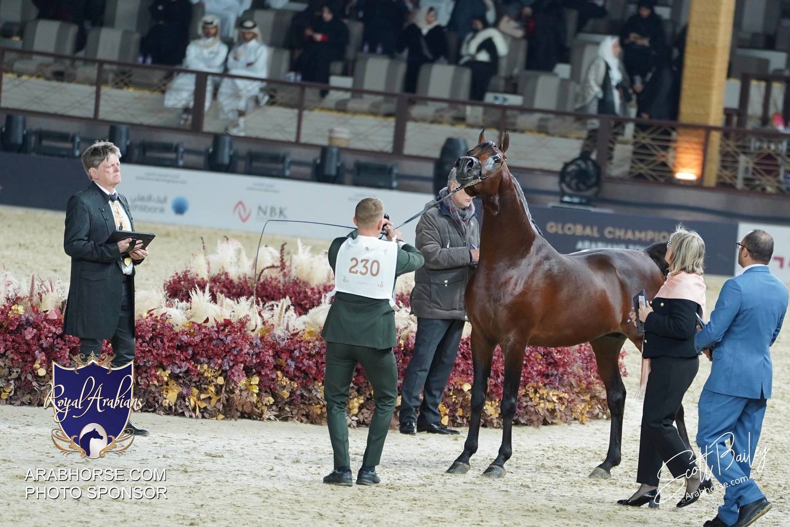 2024 KATARA SHOW - DAY 3