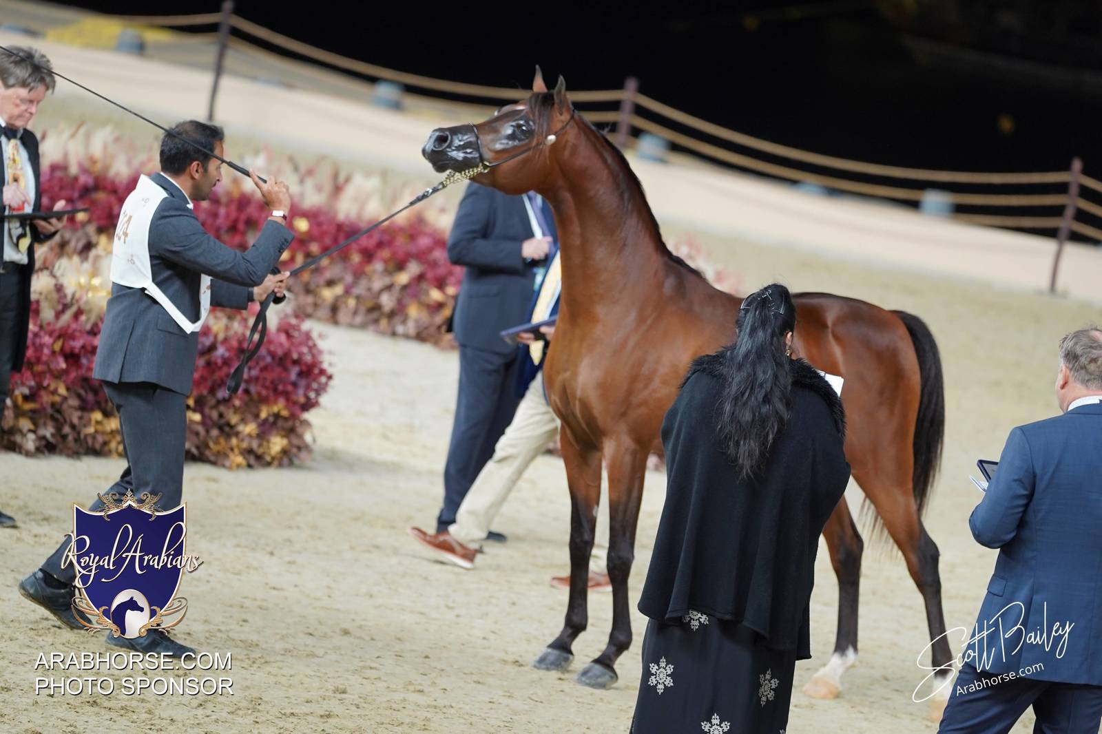 2024 KATARA SHOW - DAY 3