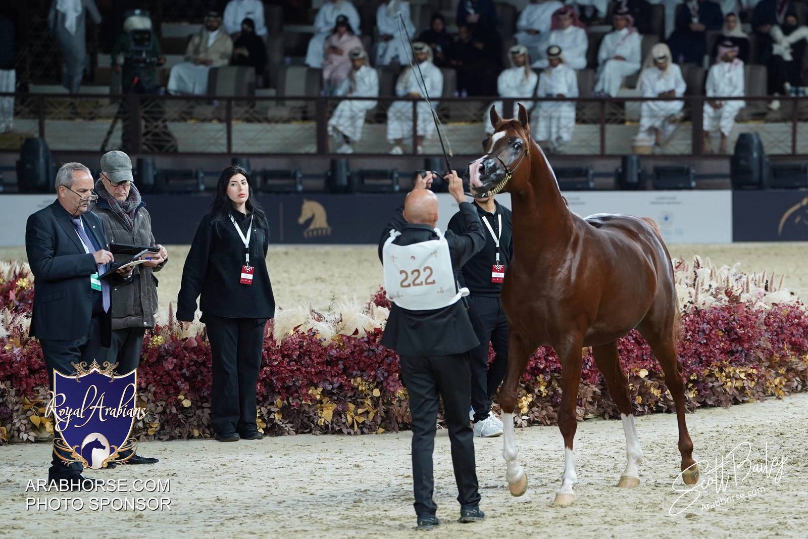 2024 KATARA SHOW - DAY 3