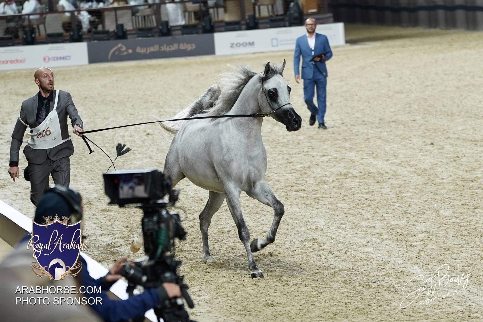 2024 KATARA SHOW - DAY 3