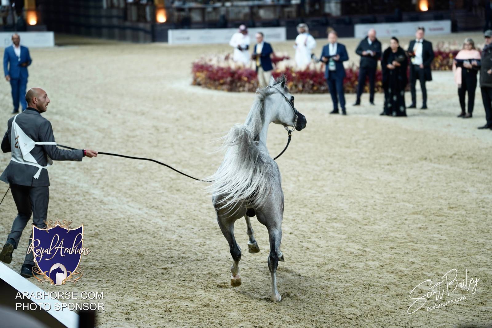 2024 KATARA SHOW - DAY 3