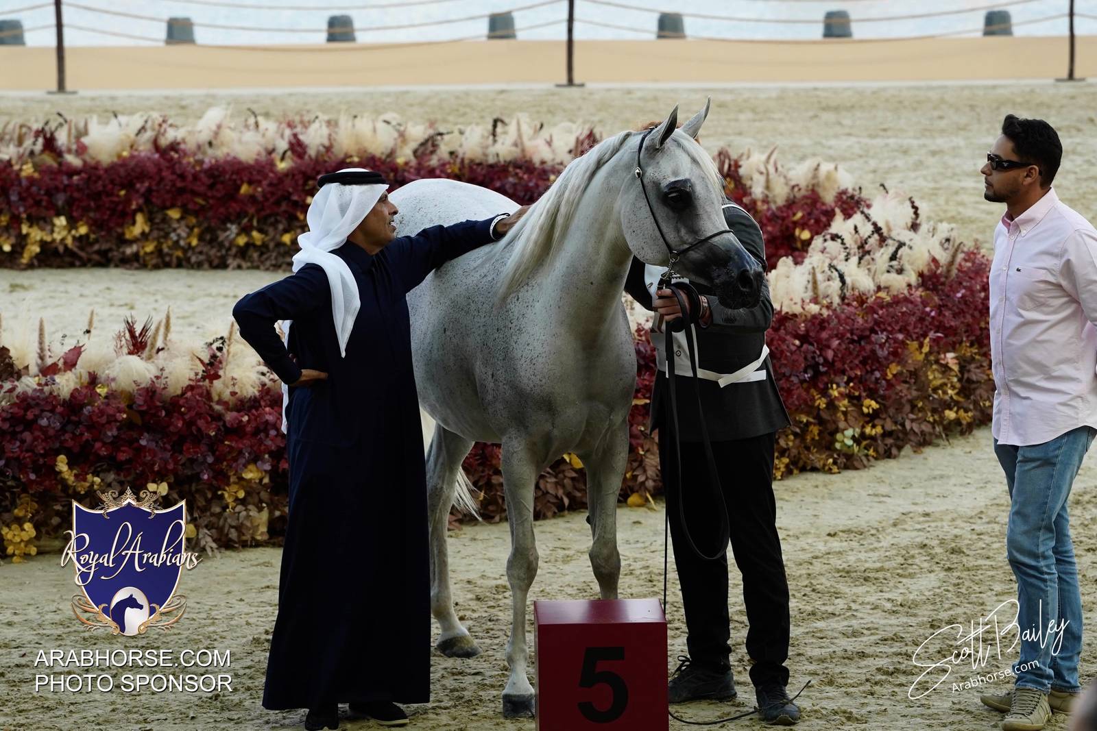 2024 KATARA SHOW - DAY 3