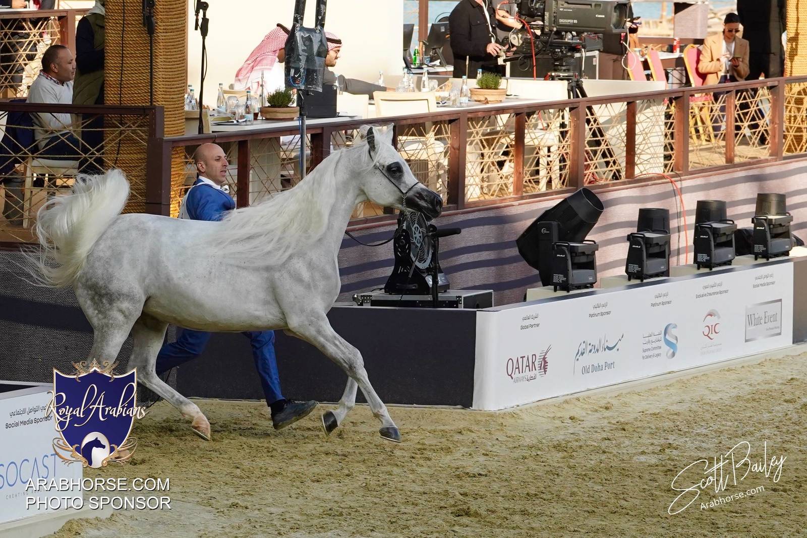 2024 KATARA SHOW - DAY 3