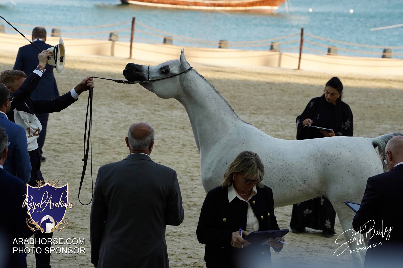 2024 KATARA SHOW - DAY 3